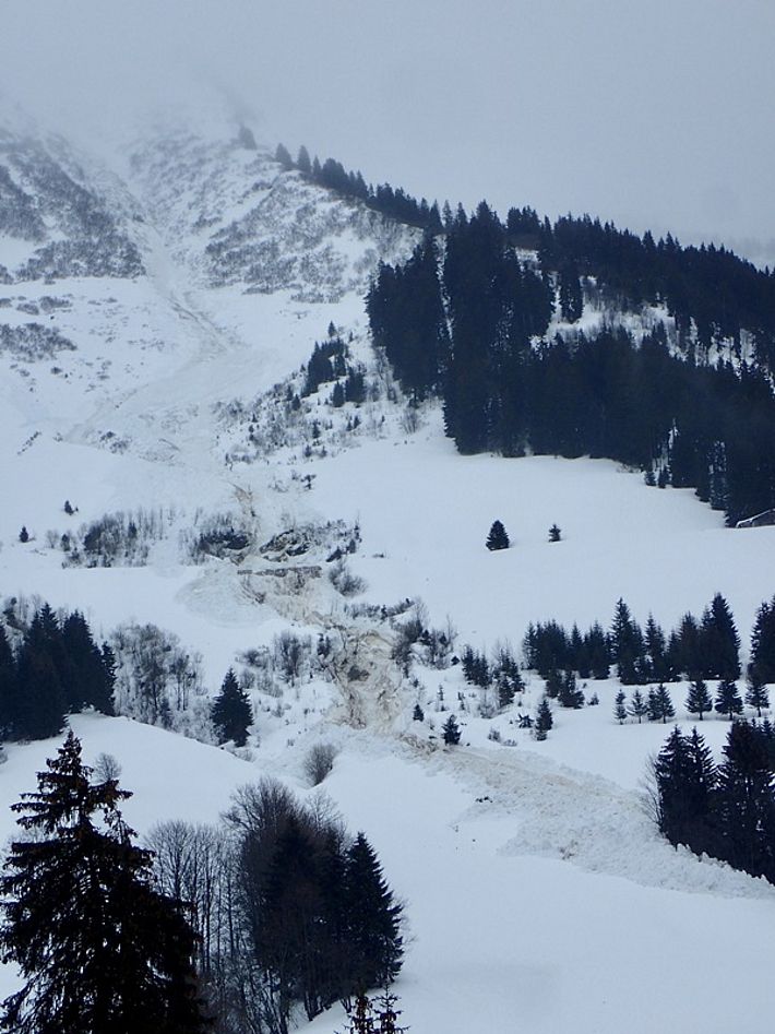 Jeudi, 09.03 plusieurs avalanches ont eu lieu sur les flancs ouest du Pic Chaussy (2351 m, Ormont-Dessous, VD). Elle s'est arrêtée à l'altitude de 1400 m environ au lieu-dit les Drauzines, la cassure doit faire 2 m d'épaisseur au plus (photo: C. Gerber).