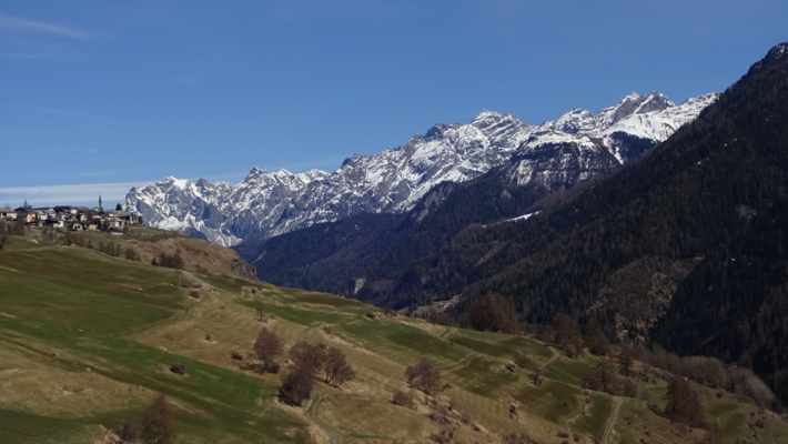 Mountain village Ftan in the Lower Engadine with green meadows in the foreground and snow-covered peaks of the Swiss Alps in the background.