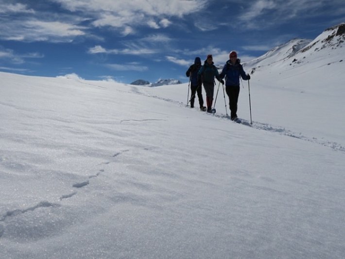 Auch in der vergangenen Berichtsperiode gab es Wummgeräusche und Risse beim Betreten der Schneedecke, wir hier im Gebiet um den Crap da Radons (2365 m, Surses, GR; Foto: F. Baumgartner, 27.02.2017).