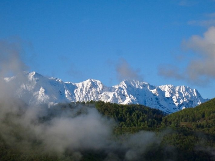 Der schneebedeckte Gridone (2188 m, Centovalli, TI) mit saftig grünen Wäldern im Vordergrund, dieses Bild bot sich dem Betrachter am Mittwoch, 03.05 (Foto: D. Silbernagel).