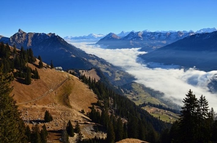 Blick ins Simmental (BE): Hier blieb der Hochnebel das einzige Weiss. Der Schnee lässt noch auf sich warten (Foto: R. Laan, 27.12.2016).