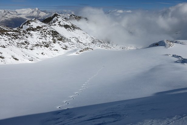 Abb. 7: Powderfreuden Mitte Oktober auf dem Griesgletscher in der Abfahrt vom Blinnenhorn (3374 m, Obergoms, VS) (Foto: L. Silvanti, 22.10.2016).
