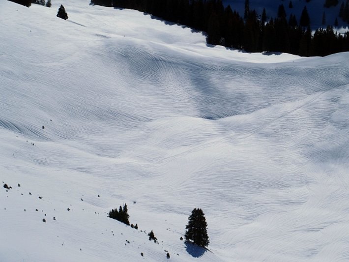 Dieses Bild wurde mit "Natürlicher Anschauungsunterricht der Hangfalllinie" betitelt und illustriert sehr schön die Abflussrinnen des Wassers während des Regens (ca. 2000 m, La Videmanette, Rougemont, VD; Foto: U. Grundisch, 10.03.2017).