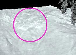 Abb. 2: Geometrische Entzerrung 