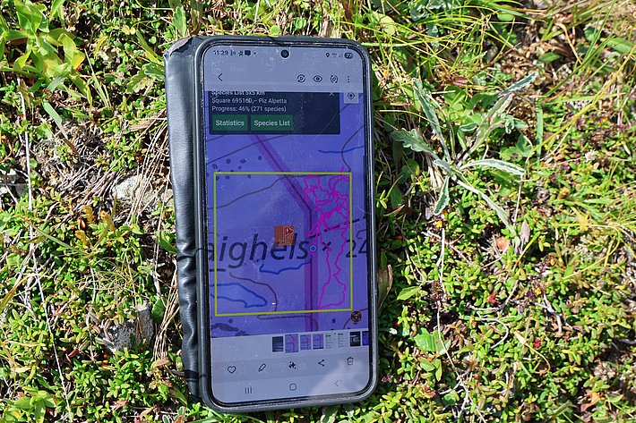 Smartphone im Gras, auf dem Bildschirm eine Landkarte
