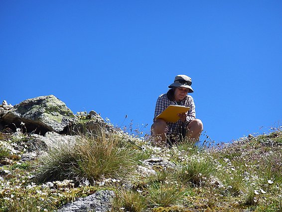 Il s’agit d’une photo de Sonja Wipf, chercheuse. Collaboratrice du groupe de recherche Ecosystèmes montagnards, elle est co-auteure de l’étude. Ici, elle se trouve sur le sommet du Mot dal Gajer en Engadine/Grisons/Suisse. Accroupie, elle inscrit sur son bloc-notes les différentes espèces de plantes qui poussent dans la végétation d’altitude qui l’entoure. Le ciel est bleu, c’est une belle journée. 