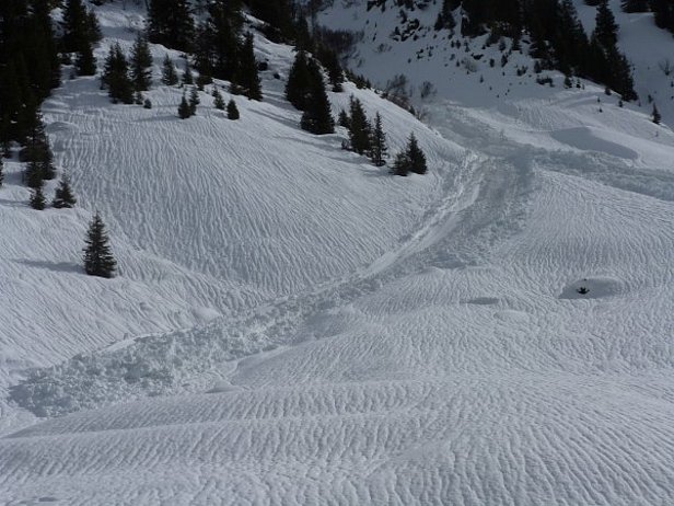 Photo 30: Les sillons formés par la pluie à la surface neigeuse et les bras de dépôts d’une avalanche spontanée de neige mouillée dans le Schlappin (Klosters-Serneus, GR) à environ 1700 m indiquaient une limite élevée des chutes de neige dans la nuit du samedi au dimanche 21 février (photo: SLF/C. Marty, 21.02.2016).