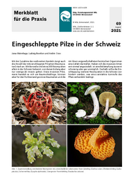 Eingeschleppte Pilze in der Schweiz