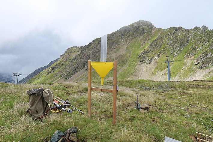 All set! (Photo: Jochen Bettzieche/SLF)