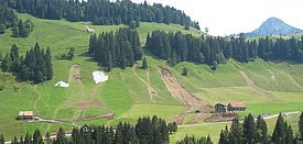 Landslides near Oberiberg in canton Schwyz, after the severe thunderstorm on 20th June 2007