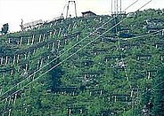 Oberer Teil der Versuchsfläche mit Lawinenverbau, Seilbahnkabeln und oberer Hütte (Foto:SLF).