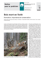 Bois mort en forêt. Formation, importance et conservation