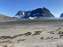 Photo 5: East Greenland is no longer an untouched wilderness. Unfortunately. Of the 12 sandy beaches I visited, only 4 were free of plastic waste. (Photo credit: Christiane Leister) 