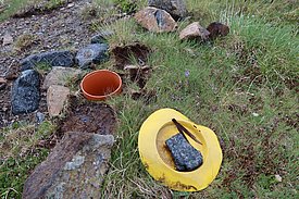 Remains of an insect trap from 2007. (Photo: Jochen Bettzieche/SLF)