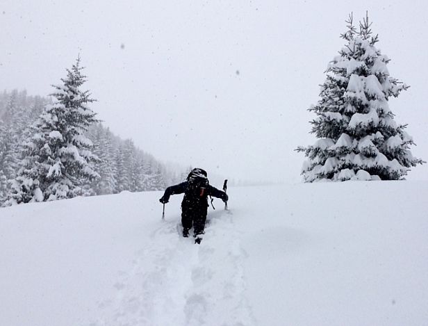 Abb. 4: Viel Neuschnee in der Sonnenstube der Schweiz. Die Spurarbeit ist bei so viel Neuschnee streng und kräfteraubend… Im Aufstieg Richtung Cap. Gesero, Valle Morobbia (Bellinzona, TI) (Foto: S. Rizzi, 15.02.2015).