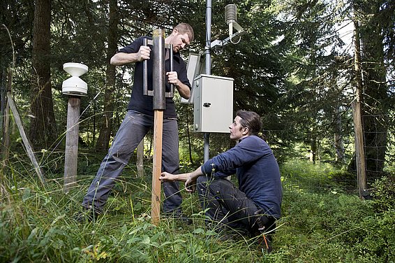 Feldaufnahmen auf der LWF-Fläche im Alptal (OW). Jede Fläche besitzt eine identische Wetterstation ausserhalb des Waldes. (Foto: Mallaun Photography)