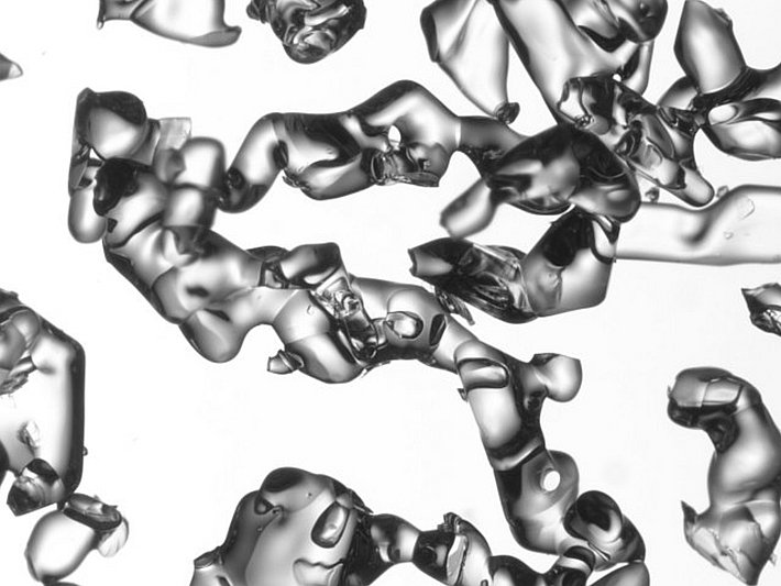 Grosse runde Formen (Grösse des Bildausschnitts: 4.3 x 3.2 mm)