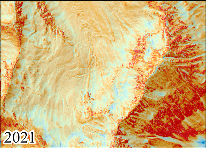 Normalised snow depth map 2021 (Graphic: Leon Bührle / SLF)