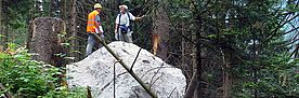 Ein durch Steinschlag gelöster Fels ist im Wald zum Stehen gekommen. Er hat einen Durchmesser von ca. dreieinhalb Meter. Zwei Forscher haben ihn erklommen und begutachten die Schneise, die er geschlagen hat.