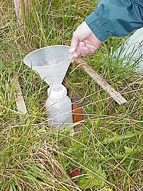 Leeren der Falle: Entfernen des Trichers mit angeschraubtem Fangbehälter aus der fest in den Boden versenkten Halteröhre.