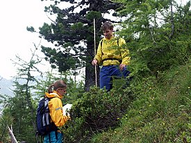 Zwei Personen mit gelben Jacken messen auf einem bewaldeten Berghang, eine hält eine Karte, die andere einen Doppelmeter.