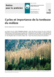 Cycles et importance de la tordeuse du mélèze