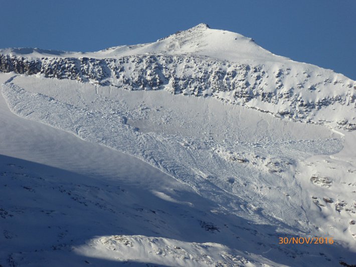 Lawine an der Nordflanke des Rheinquellhorns (3200 m), GR (Foto: T. Aebli, 30.11.2016).
