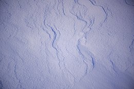 Nahaufnahme von unberührtem, leicht strukturiertem Schnee mit sanften Wellen und Schatten