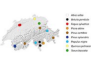 Sampling sites in Switzerland.
