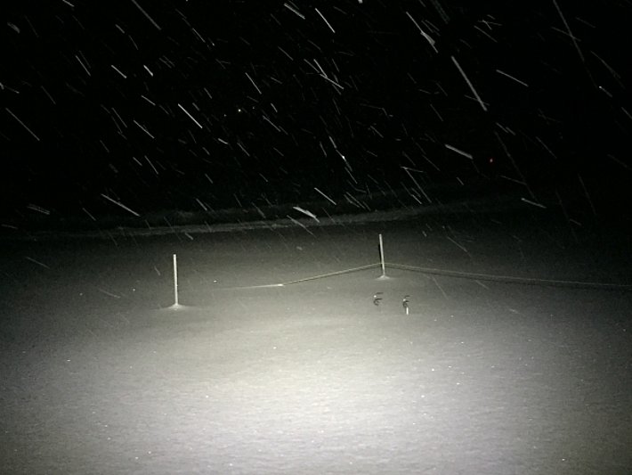 Starker Schneefall, wie hier an der SLF Vergleichsstation 3TG (1054 m, Wildhaus- Alt St. Johann, SG) liess die Umzäunung des Messfeldes zum Teil verschwinden (Foto: P. Diener, 15.01.2017).