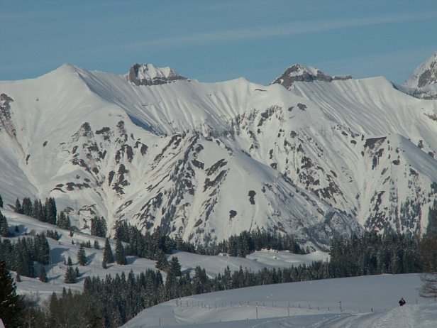 Abb. 25: Fischmäuler, Gleitschneelawinen und -rutsche. Blick vom Col des Mosses nach Norden zum Vanil Carré, 2189 m, Châuteau-d'Oex, VD (Foto: SLF/Th. Stucki, 14.12.07).
