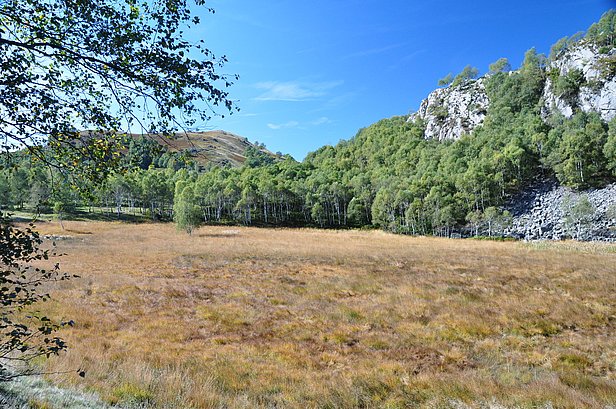 View of the mire Gola di Lago in Ticino, one of the study sites of the PaleoGenes project. Photo: Christoph Schwörer.