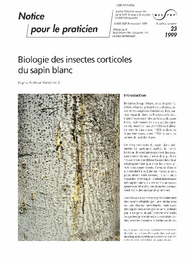 Biologie des insectes corticoles du sapin blanc