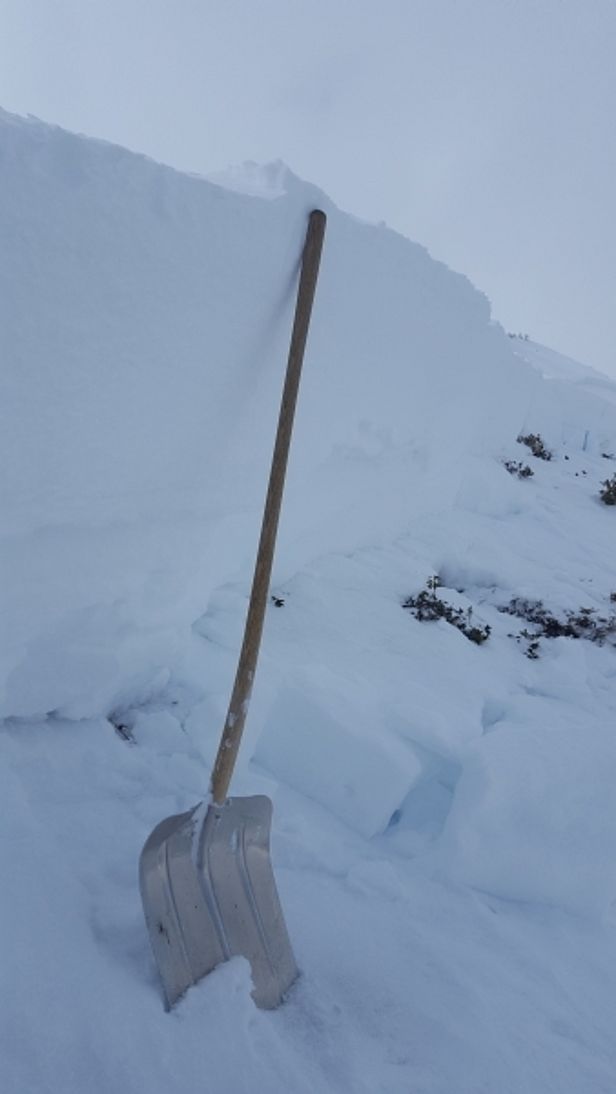 Abb 7: Eine Person löste auf der Alp Farur (Tschiertschen, GR) an einem steilen NE-Hang auf 2160 m diese Schneebrettlawine aus, die bis in bodennahe Schwachschichten riss (Foto: P. Hartmann).