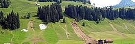 Das Bild zeigt einen Hang bei Oberiberg (SZ). Der obere Hangbereich ist bewaldet, im unteren Teil liegen Nutzwiesen. Unter dem Wald lassen sich an mehreren Stellen braune Rutschungen erkennen,  die nach unten breiter werden und teils bis zum besiedelten Hangfuss hinunterreichen. Die Rutschungen stammen von dem Unwetter am 20. Juni 2007.