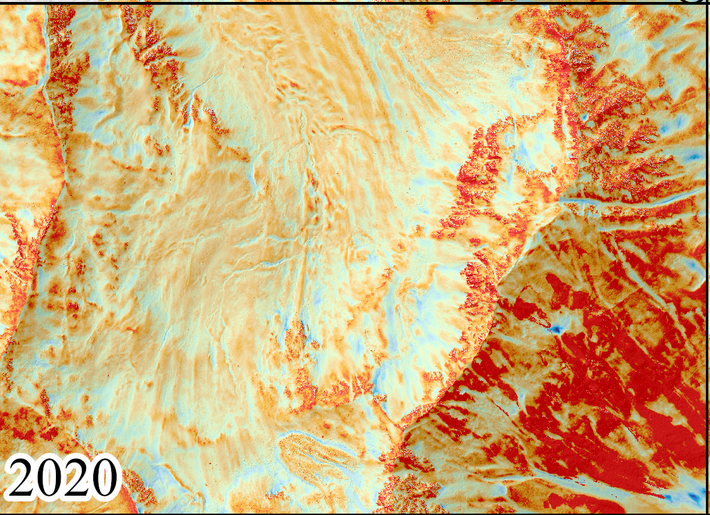 Normalised snow depth map 2020 (Graphic: Leon Bührle / SLF)