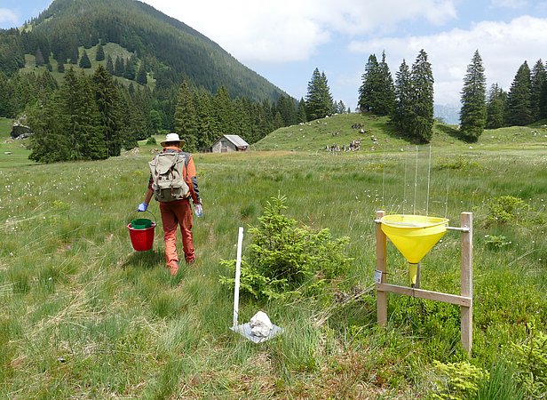 RBA sampling Schwändital