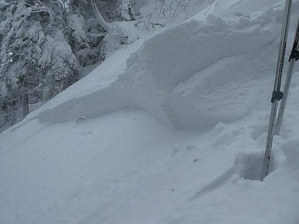 Abb. 11: Diese Schneebrettlawine im Jura löste sich im Triebschnee, der sich mit der Bise gebildet hatte. Es wurde niemand verletzt (Foto: V. Berret, 17.01.2017).