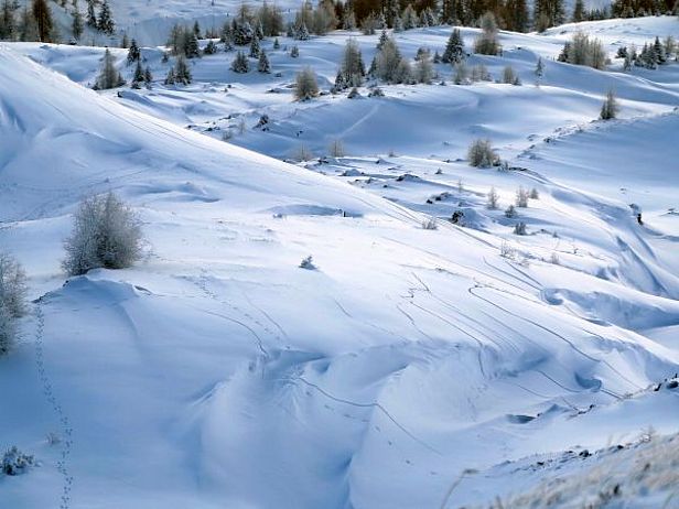Abb. 6: Risse in der Schneedecke - eindeutige Alarmzeichen an einem Nordhang vom Gotschnagrat (Davos, GR). Der Hang ist aber gerade nicht genug steil für die Bildung einer Schneebrettlawine (Foto: SLF/E. Hafner, 06.01.2017).
