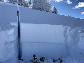 Dopo la prima parte dell’inverno con poca neve, a gennaio la struttura del manto nevoso era sfavorevole in molte regioni, come dimostra ad es. il profilo stratigrafico di St. Martin nella Val d’Hérens (VS). 40 cm di neve fresca e ventata poggiano su un manto di neve vecchia con una crosta, che a sua volta poggia su grandi cristalli a calice. Foto: P. Gaspoz, 15.01.2017 