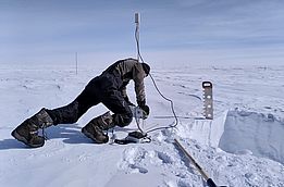 Mit vollem körperlichen Einsatz wird der SnowMicroPen auf die Schneeoberfläche gedrückt. Eine Zahnstange mit einem Kraftsensor an der Spitze fährt in das Schneeprofil und misst die physikalischen Eigenschaften der einzelnen Schneeschichten. Dies ist eine ergänzende Messung zu den Schneeproben, die wir in Davos im Computertomographen analysieren werden. (Foto: Matthias Jaggi / SLF)
