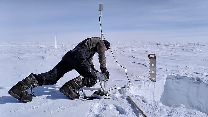 Mit vollem körperlichen Einsatz wird der SnowMicroPen auf die Schneeoberfläche gedrückt. Eine Zahnstange mit einem Kraftsensor an der Spitze fährt in das Schneeprofil und misst die physikalischen Eigenschaften der einzelnen Schneeschichten. Dies ist eine ergänzende Messung zu den Schneeproben, die wir in Davos im Computertomographen analysieren werden. (Foto: Matthias Jaggi / SLF)