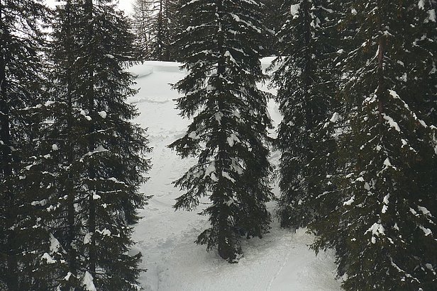 Lawinenschnee zwischen verschneiten Tannen an einem Hang.