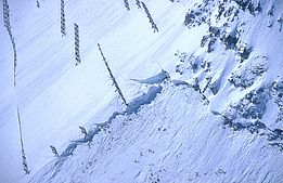 Lawinenanbuch neben der Verbauung Schweifinen, Zermatt (VS), am 25. Februar 1999, Detailaufnahme (Foto: Stefan Margreth / SLF)