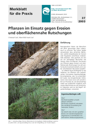 Pflanzen im Einsatz gegen Erosion