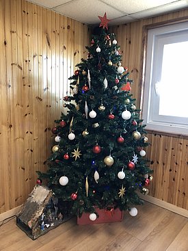 A decorated Christmas tree stands in the corner of a room, adorned with colorful ornaments, white and gold baubles, and a star on top. A small presents are placed at its base, adding to the festive atmosphere in the wooden-paneled space.