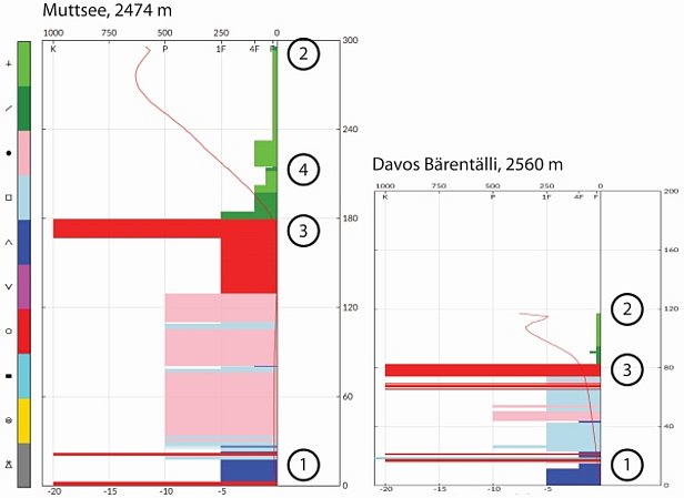 Abbildung 6: Vom Schneedeckensimulationsmodell Snowpack berechnete Schneedecke an den IMIS-Standorten Muttsee (GL, 2474 m) und Davos Bärentälli (GR, 2560 m) für den Mittwoch, 19.04. um 09:00 Uhr (Flachfeld). - Vertikale Achse: Schneehöhe, horizontale Achse Härte und Temperatur (rote, geschwungene Kurve). 1: Das Schneedeckenfundament bestehend aus Becherkristallen (dunkelblau) und kantigen Kornformen (hellblau) ist an beiden Standorten vorhanden. 2: Die Schneehöhe, d.h. die Überdeckung dieses Fundamentes, ist beim Muttsee deutlich mächtiger als im Bärentälli. Im Bärentälli sind auch in den, die unterste Schicht überlagernden Schichten, kantige Kornformen vorhanden. 3: Der kalte Neuschnee (grün) liegt auf einer Kruste (rot), darunter ist die Schneedecke noch trocken, die Schneetemperaturen aber nahe bei null Grad. 4: Die Härte der Neuschneeschichten (grün) nimmt in den neuschneereichen Gebieten von unten nach oben ab, hier ist aber eine weichere Schicht eingelagert, die eine Schwachschicht sein könnte.  - Grün: Neuschnee - Dunkelblau: Becherkristalle - Pink: abgebauter, rundkörnier Schnee - Hellblau: aufgebauter, kantiger Schnee - Rot: Schmelzformen, Kruste