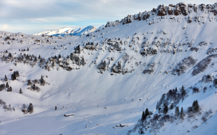 Spontane Lockerschneelawinen im Gebiet Elisalp (Ebnat- Kappel, SG), hier am Nordhang des Speer auf 1650 m (Foto: D. Wilhelm, 06.02.2017).