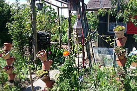 Les jardins familiaux diversifiés sont à la fois un habitat pour de nombreuses plantes et animaux et un espace de loisirs de proximité pour la population urbaine.