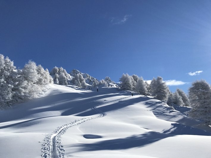 Wunderschöner Kontrast zwischen strahlend blauem Himmel und vom Raureif weissen Bäumen in Lovégno (Saint Martin, VS; Foto: P. Gaspoz, 15.01.2017).